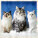 Kalendář Cats - LP01-27_009 - variant He LP01-27