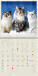 Kalendář Cats - LP01-27_015 - variant He LP01-27