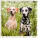 Kalendář Dogs - LP02-27_007 - variant He LP02-27