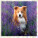 Kalendář Dogs - LP02-27_008 - variant He LP02-27