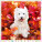Kalendář Dogs - LP02-27_011 - variant He LP02-27