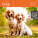 Kalendář Dogs - LP02-27_013 - variant He LP02-27