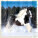 Kalendář Horses - LP03-27_001 - variant He LP03-27