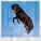 Kalendář Horses - LP03-27_002 - variant He LP03-27