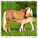 Kalendář Horses - LP03-27_004 - variant He LP03-27