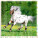 Kalendář Horses - LP03-27_006 - variant He LP03-27