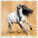 Kalendář Horses - LP03-27_011 - variant He LP03-27
