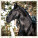 Kalendář Horses - LP03-27_012 - variant He LP03-27