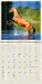 Kalendář Horses - LP03-27_015 - variant He LP03-27