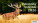 Myslivecký kalendář - S321-26_002 - variant He S321-26