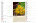 Kalendár Zdravie z prírody - S330-27_001 - variant He S330-27