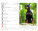 Kalendář Pejsci - SM13-27_001 - variant He SM13-27