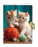 Památník se zámkem Kittens play - cmz0596 - variant
