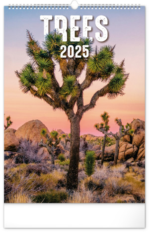 Nástěnný kalendář Stromy 2025, 33 × 46 cm - Reklamnepredmety