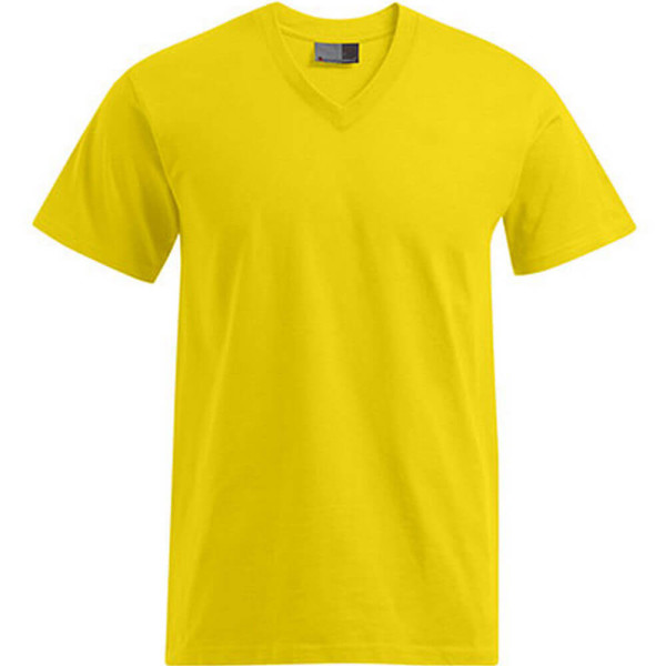 E3025 Premium V-Neck-T