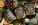 Dárkový set BIO ochucených ořechů - s044002 - variant