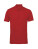 Pánské polo tričko - 2548361 - variant