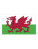 FLAGWLS Flag Wales - FLAGWLS_Wales - variant Ls 1000063530
