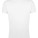 L149 Regent Fit T-Shirt - L149-White - variant Ls 1000115241