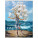 Nástěnný kalendář Salvador Dalí 2026 - N06-26_OB - variant Sp N06-26