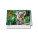 Stolní kalendář Wild life 2026
