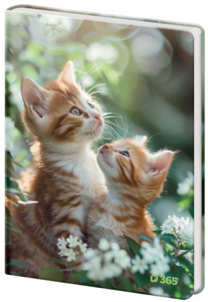 Památník A5 13x18cm čistý Tabby - Reklamnepredmety