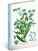 NOTIQUE 18měsíční diář Petito – Herbář 2025/2026, 11 x 17 cm - pgd-35534-v_tit - variant Pg PGD-35534-V