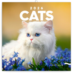NOTIQUE Poznámkový kalendář Kočky 2026, 30 x 30 cm - Reklamnepredmety
