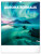 NOTIQUE Nástěnný kalendář Polární záře 2026, 30 x 34 cm - pgn-35509-l_tit - variant Pg PGN-35509-L