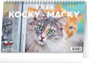 NOTIQUE Stolový kalendár Kočky – Mačky CZ/SK 2026, 23,1 x 14,5 cm - Reklamnepredmety
