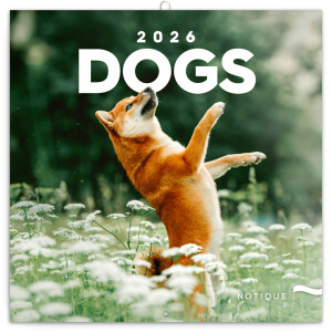 NOTIQUE Poznámkový kalendář Psi 2026, 30 x 30 cm - Reklamnepredmety