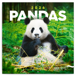 NOTIQUE Poznámkový kalendář Pandy 2026, 30 x 30 cm - Reklamnepredmety