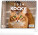 NOTIQUE Stolní kalendář Kočky – se jmény koček CZ 2026, 16,5 x 13 cm - pgs-35337_tit - variant Pg PGS-35337