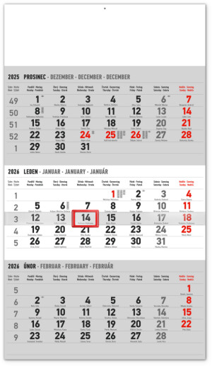 NOTIQUE Nástěnný kalendář 3měsíční standard šedý – s českými jmény CZ 2026, 29,5 x 43 cm - Reklamnepredmety