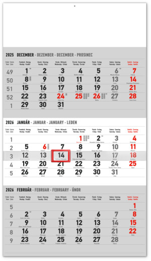 NOTIQUE Nástěnný kalendář 3měsíční standard šedý – se slovenskými jmény 2026, 29,5 x 43 cm - Reklamnepredmety
