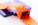 Subdal Colour Square zákazková medaila - AP716845-06T__CU - variant Ap 716845-06T