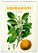 NOTIQUE Nástěnný kalendář Vintage plakáty – herbář 2026, 33 x 46 cm - pgn-35185_tit - variant Pg PGN-35185