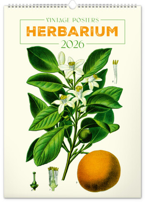 NOTIQUE Nástěnný kalendář Vintage plakáty – herbář 2026, 33 x 46 cm - Reklamnepredmety