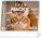NOTIQUE Stolový kalendár Mačky – s menami mačiek 2026, 16,5 x 13 cm - pgs-35362-sk_tit - variant Pg PGS-35362-SK