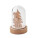 ROVANI - cx1558-40 - variant Mo CX1558-40