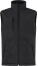Pánská zateplená softshellová vesta - ps-670958-clique-padded-softshell-vest-men-black-front-97a3b1a8-b700-43a9-892a-812b70bf6619-web - variant