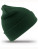 RC29 Woolly Ski Hat - RC29_Bottle - variant Ls 1000289196