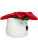 Schmoozies® Evergreenies® Vánoční hvězda - 2682494 - variant 