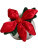 Schmoozies® Evergreenies® Vánoční hvězda - 2682495 - variant 