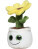Schmoozies® Evergreenies® slunečnice - 2693657 - variant 