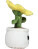 Schmoozies® Evergreenies® slunečnice - 2693660 - variant 