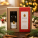 Dárkové balení MIXBOX ZINGI - zingi-product-2-christmas-background-e1765186024236 - variant 