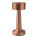 Nerezová stolní lampa MUSHROOM - 56-0903073-mushroom-01 - variant 