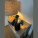 Multifunkční reproduktor Ferraghini - f25503_lifestyle_4 - variant M F25503