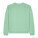 Mikina Radder 2.0 oversized - stsu208-mistyjade_packshot_main_front - variant Eg STSU208C7351L
